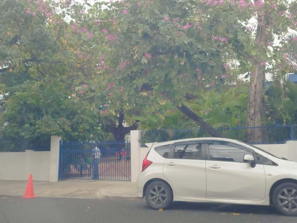 Maternal Montessori  -  Otros